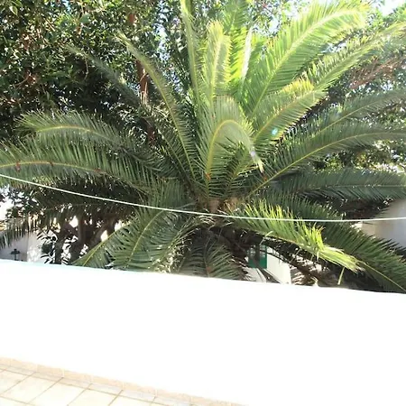 Holistic Retreat - Heart Of Plaza Pueblo Marinero *